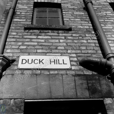 Duck Hill